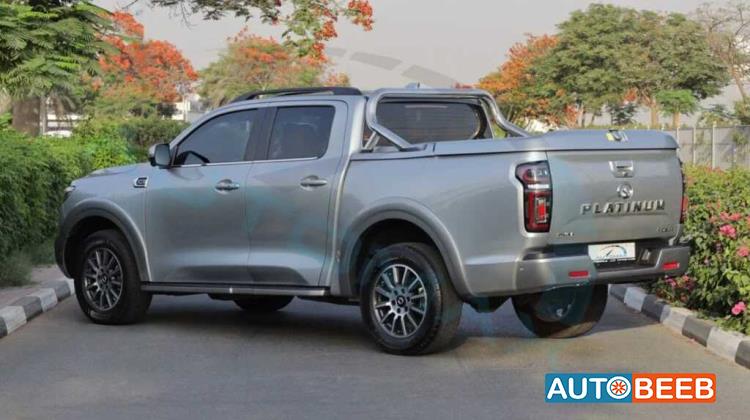 Great Wall Poer 2025