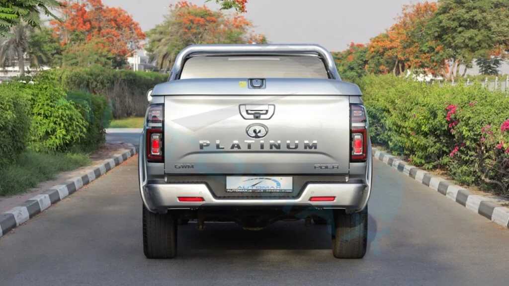 Great Wall Poer 2025