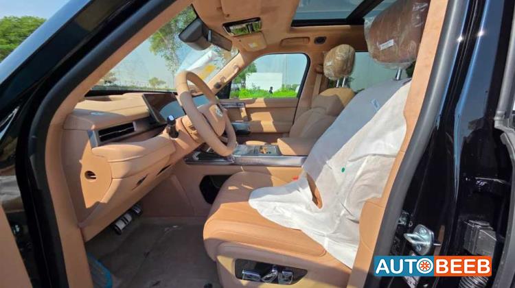 دونج فينج ام هيرو 817 2025