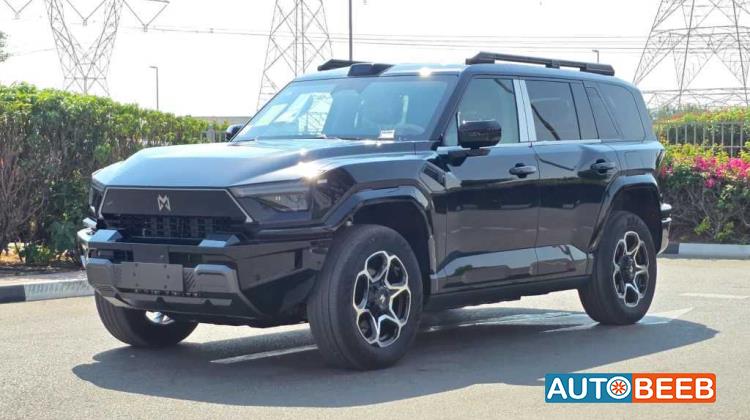 دونج فينج ام هيرو 817 2025