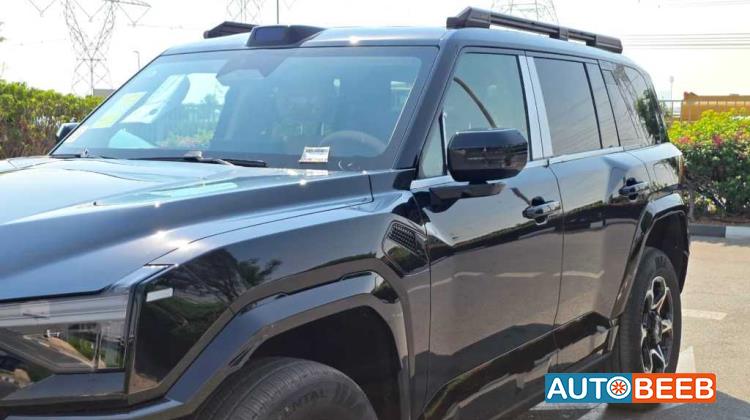 دونج فينج ام هيرو 817 2025