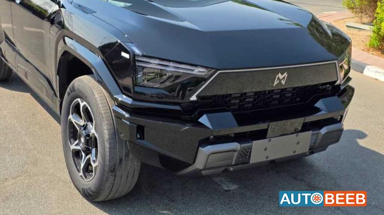 دونج فينج ام هيرو 817 2025