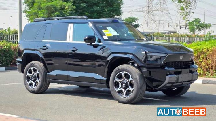 دونج فينج ام هيرو 817 2025