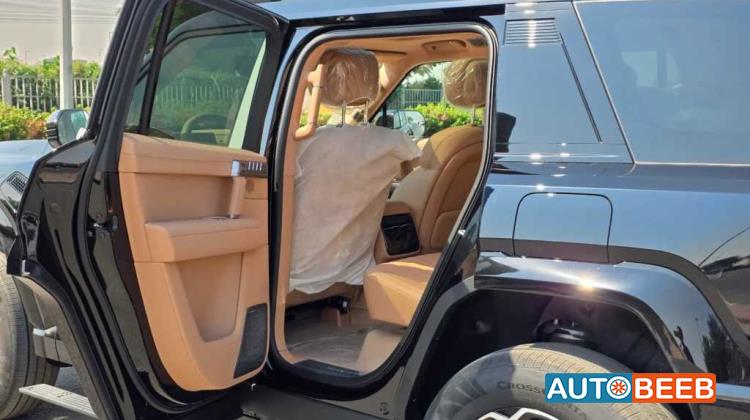 دونج فينج ام هيرو 817 2025