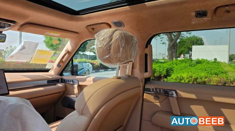 دونج فينج ام هيرو 817 2025