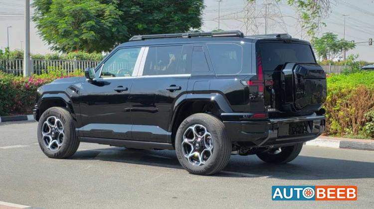 دونج فينج ام هيرو 817 2025