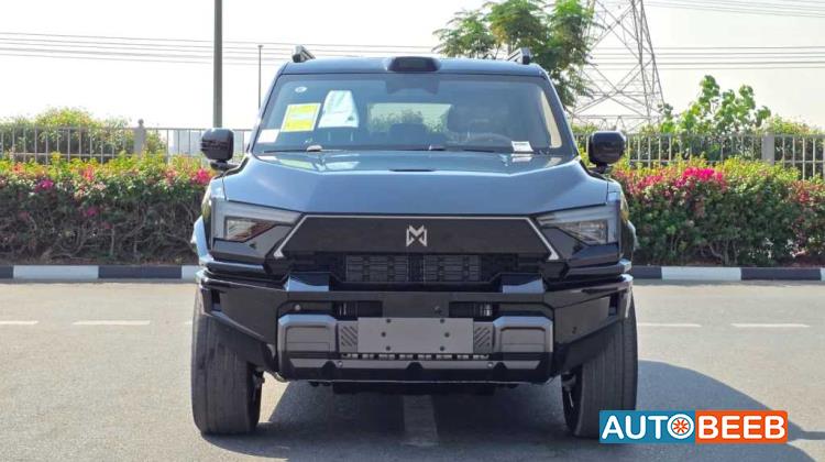 دونج فينج ام هيرو 817 2025