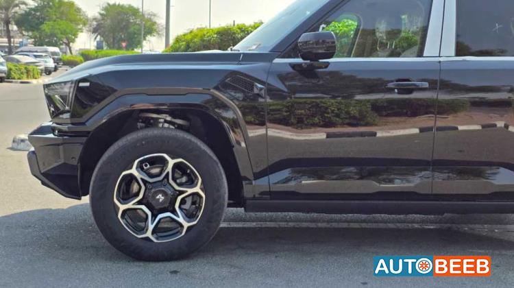 دونج فينج ام هيرو 817 2025