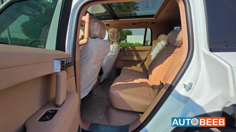 Dongfeng M-Hero 817 2025