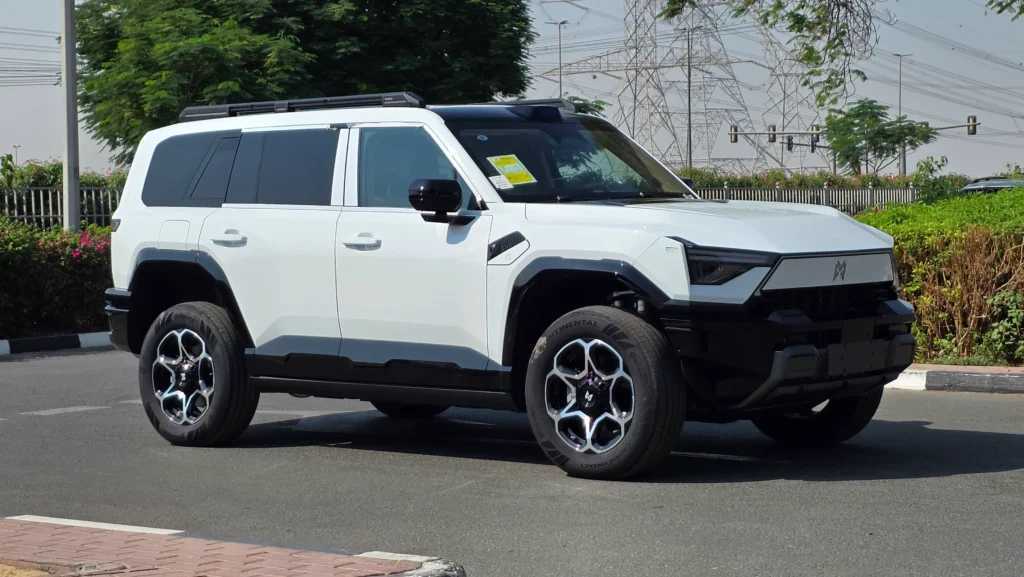 Dongfeng M-Hero 817 2025