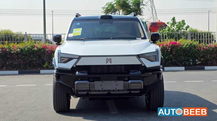 Dongfeng M-Hero 817 2025