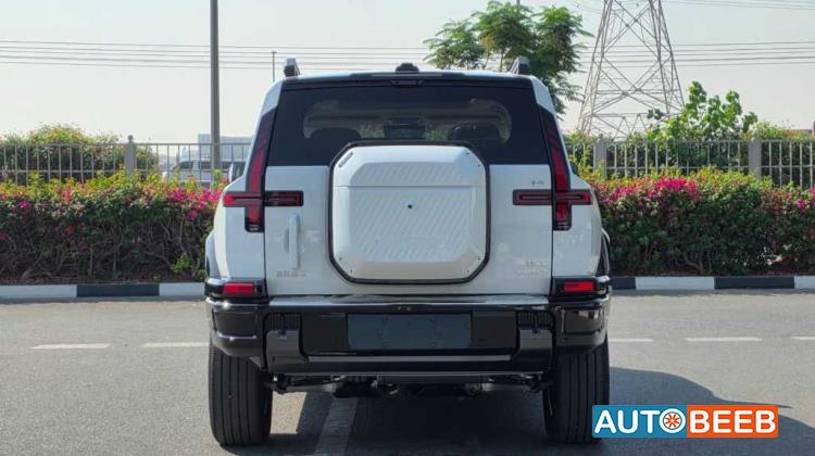 Dongfeng M-Hero 817 2025