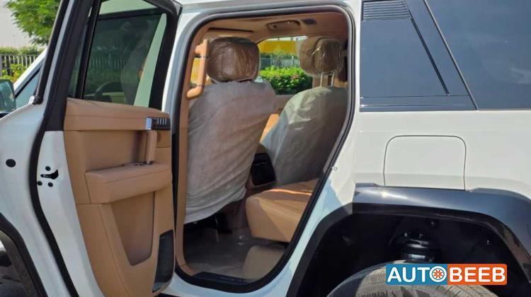 Dongfeng M-Hero 817 2025