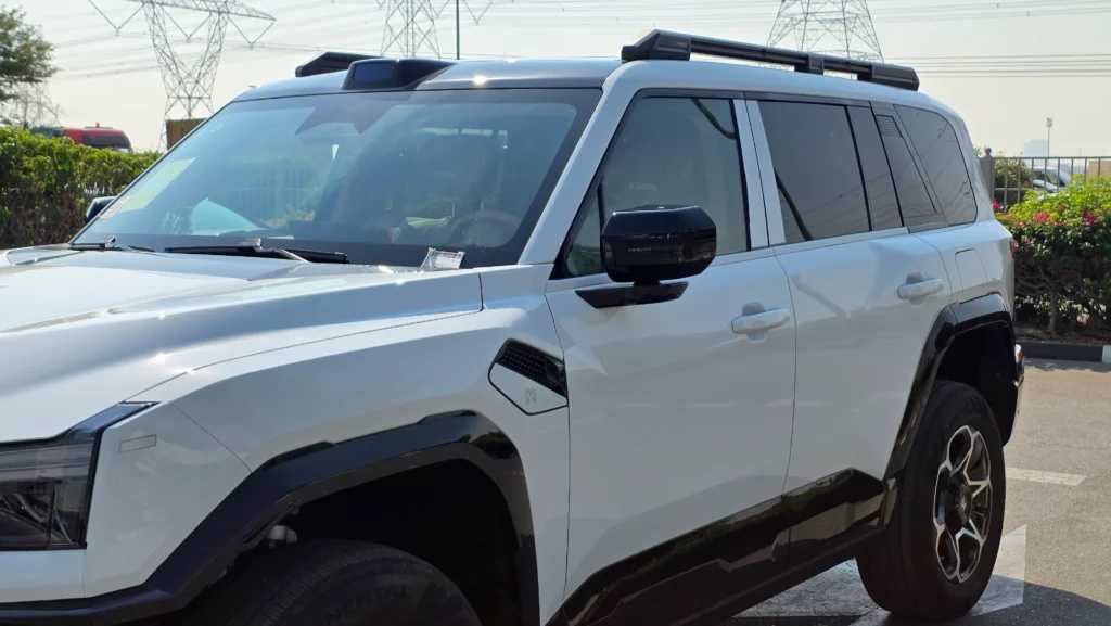 Dongfeng M-Hero 817 2025