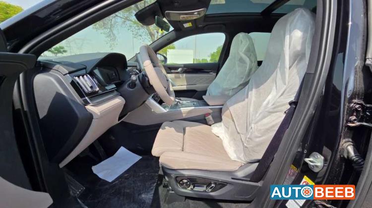 بي واي دي تانج 2025