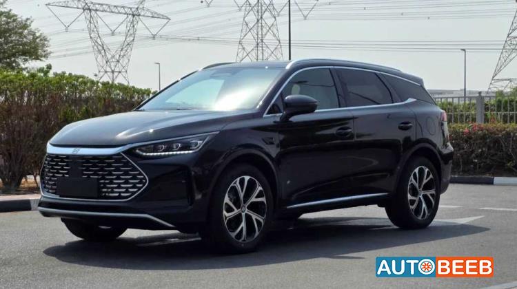 بي واي دي تانج 2025