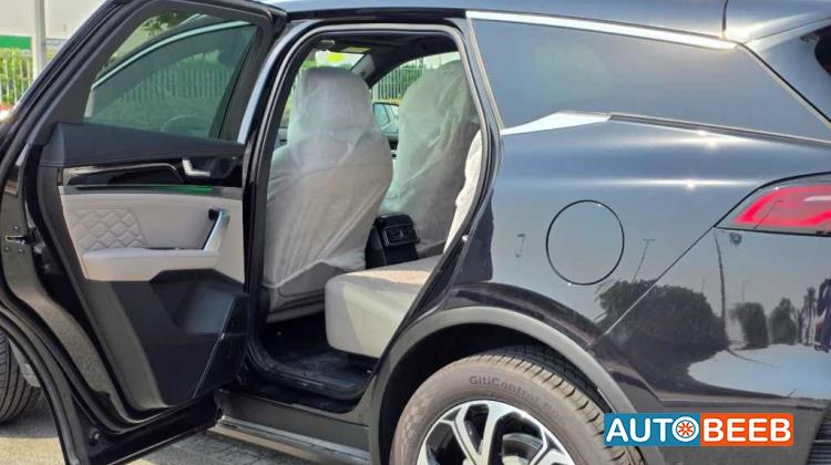 بي واي دي تانج 2025