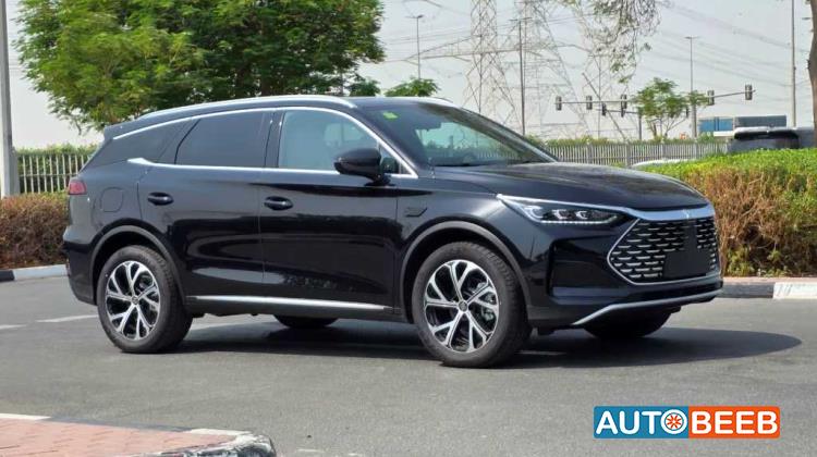 بي واي دي تانج 2025