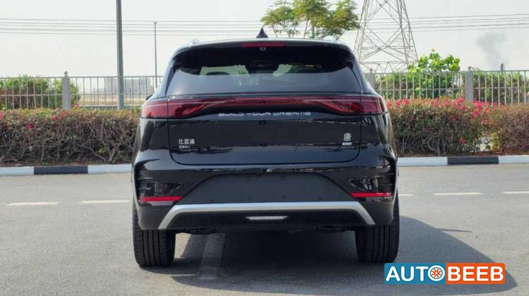 بي واي دي تانج 2025