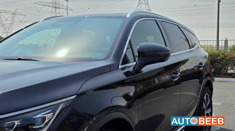 بي واي دي تانج 2025