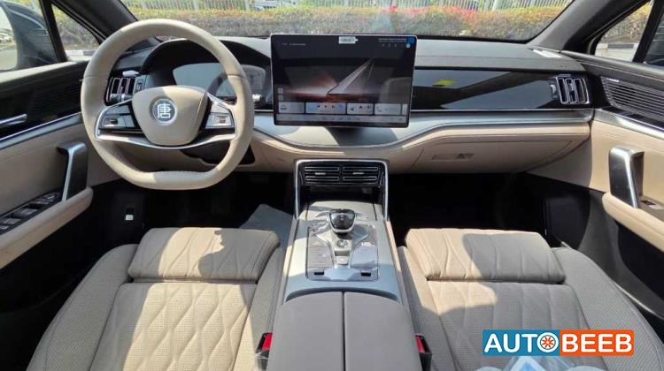 بي واي دي تانج 2025