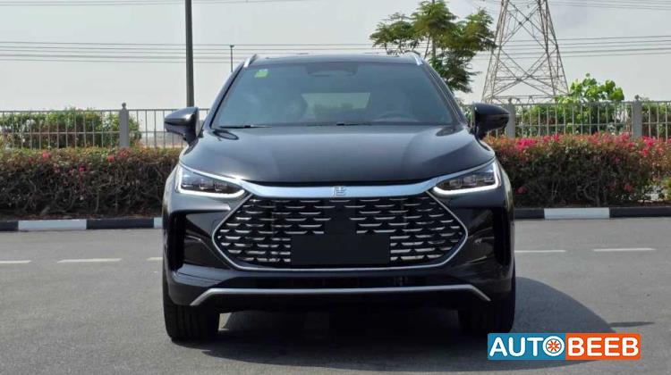 بي واي دي تانج 2025