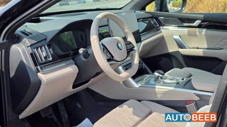 بي واي دي تانج 2025