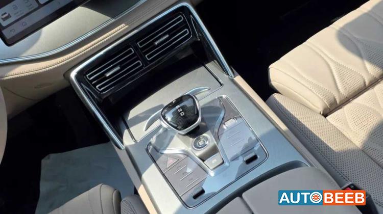 بي واي دي تانج 2025