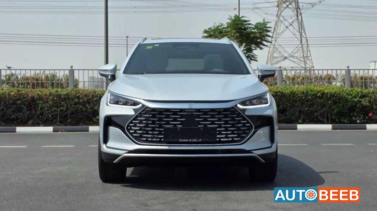 بي واي دي تانج 2025