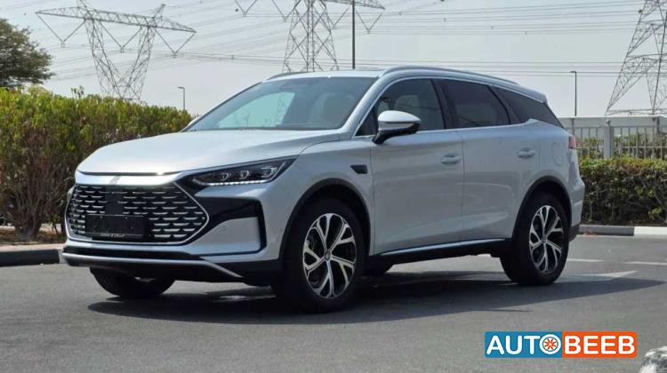 بي واي دي تانج 2025