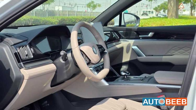 بي واي دي تانج 2025