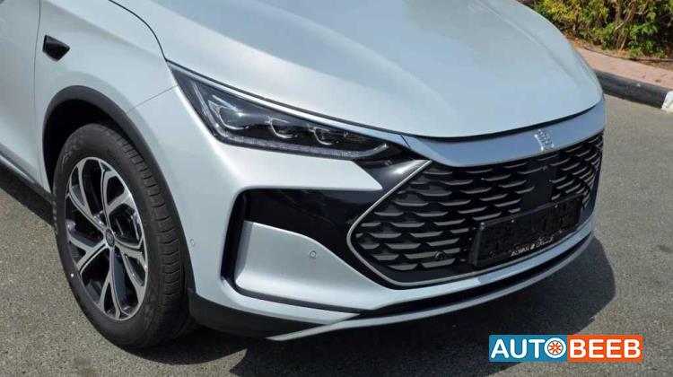 بي واي دي تانج 2025