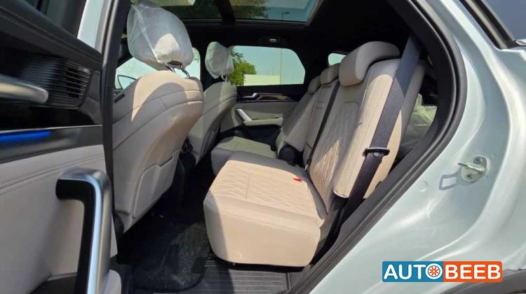 بي واي دي تانج 2025