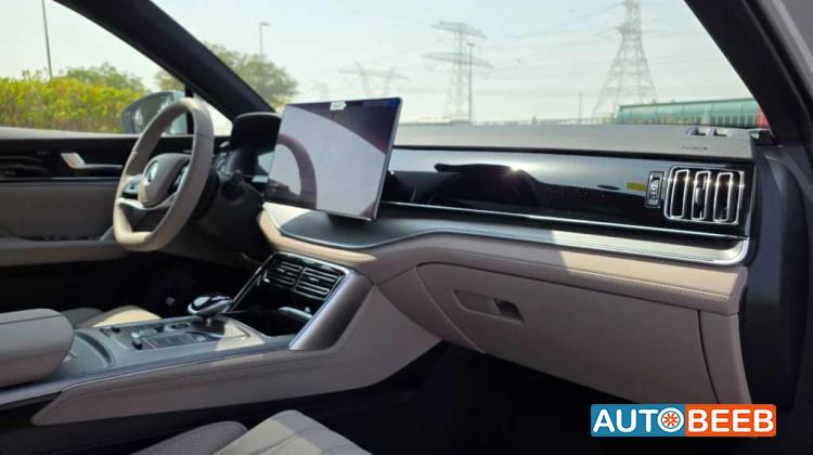 بي واي دي تانج 2025