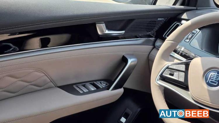 بي واي دي تانج 2025