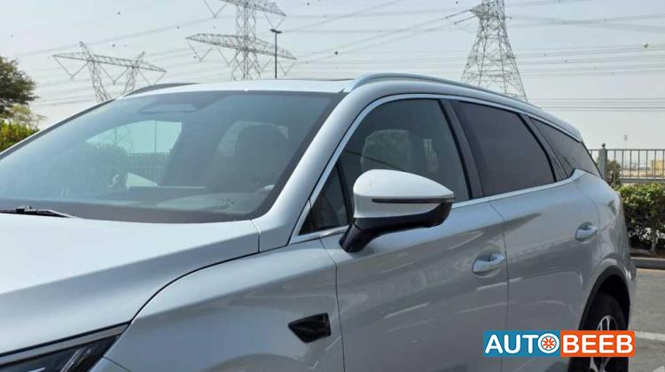 بي واي دي تانج 2025