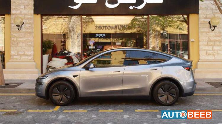 تيسلا Y 2025