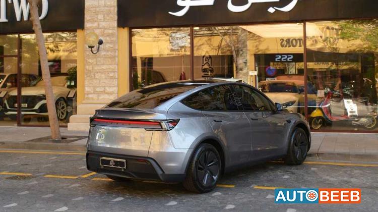 تيسلا Y 2025