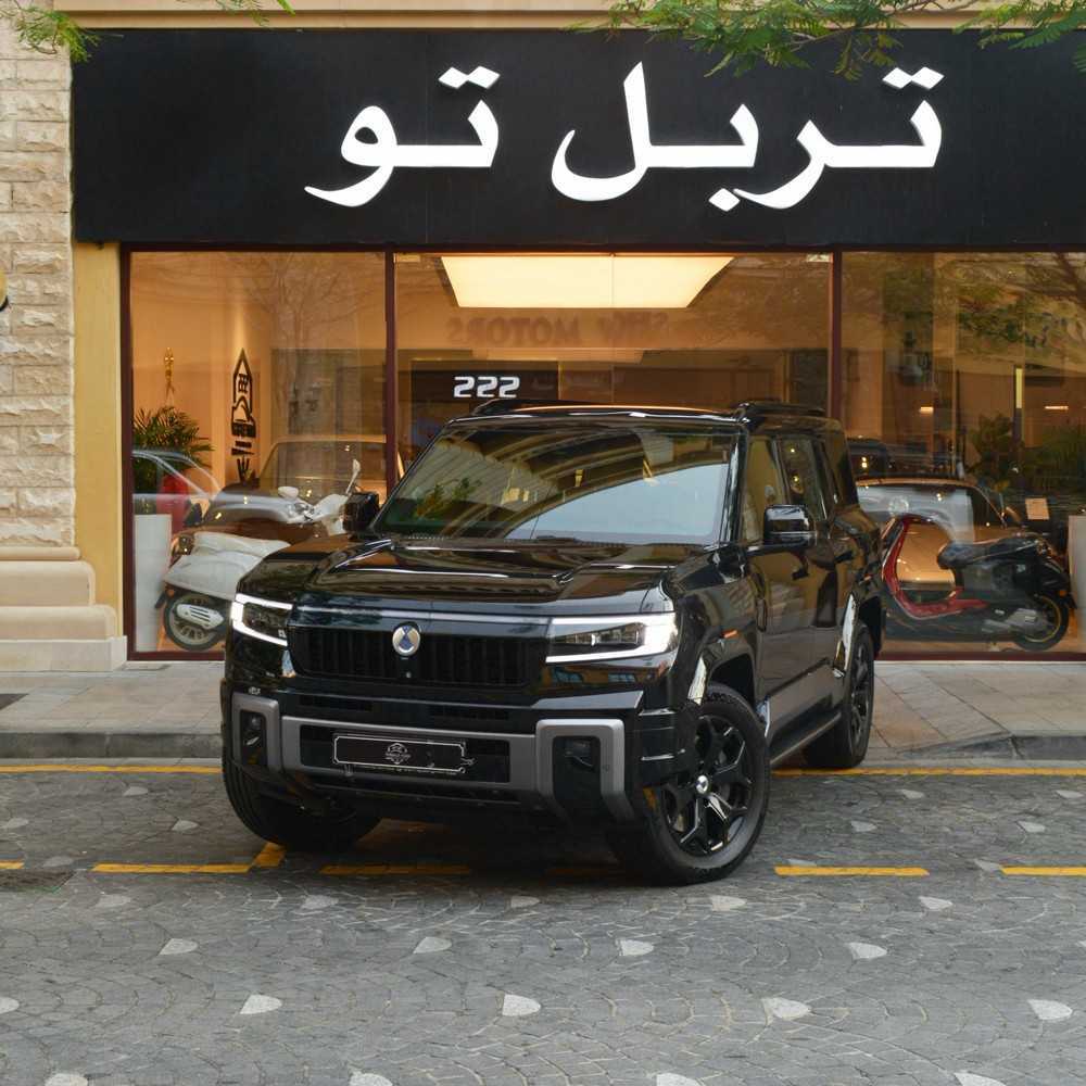 دينزا B8 2026