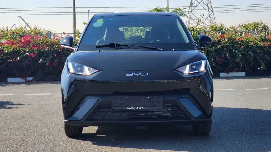 بي واي دي سيجول 2024