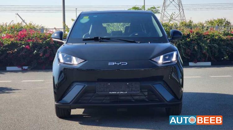 بي واي دي سيجول 2024