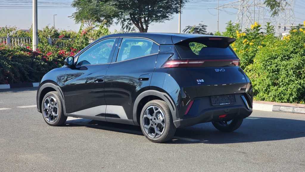 بي واي دي سيجول 2024