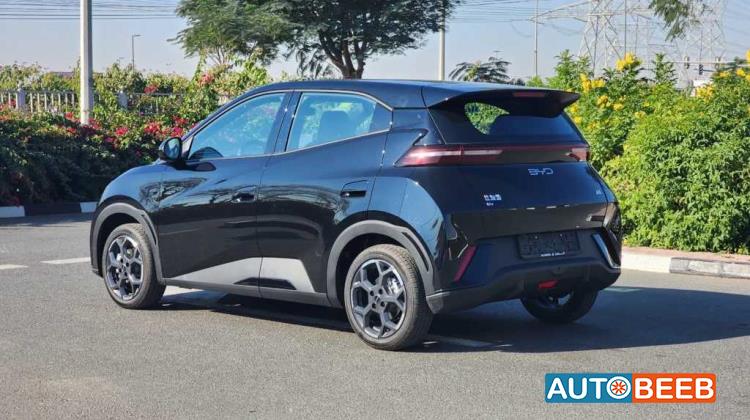 بي واي دي سيجول 2024