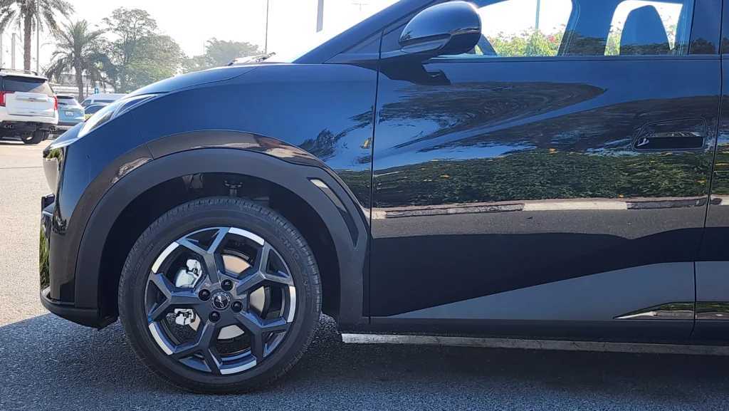 بي واي دي سيجول 2024