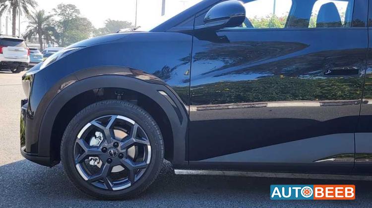 بي واي دي سيجول 2024