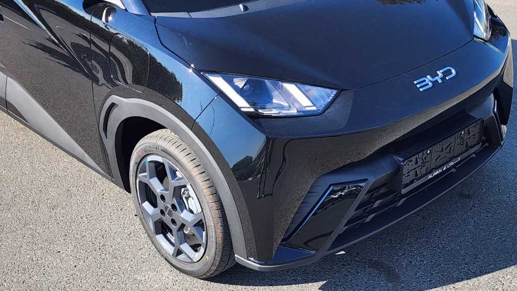 بي واي دي سيجول 2024