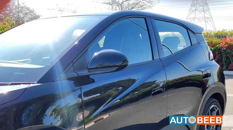 بي واي دي سيجول 2024