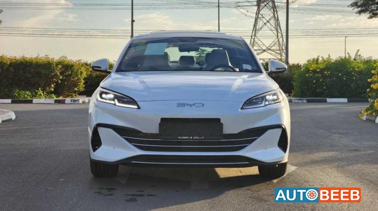 بي واي دي سيل 2024