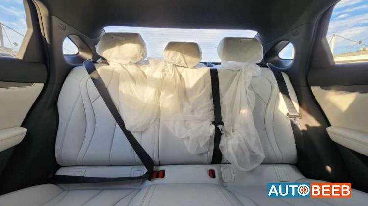 بي واي دي سيل 2024