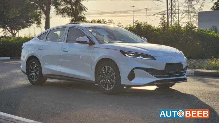 بي واي دي سيل 2024